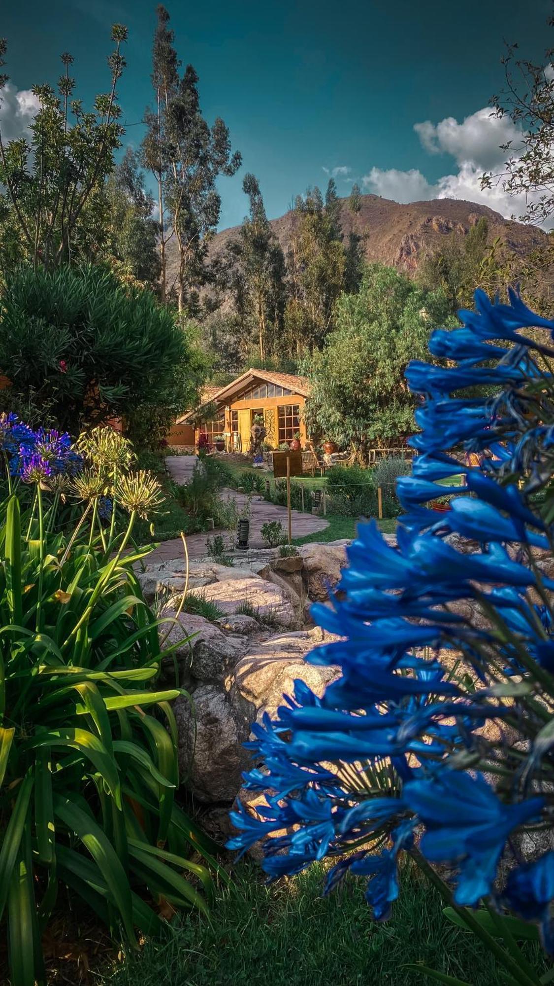 Andean Wings Valley Урубамба Экстерьер фото